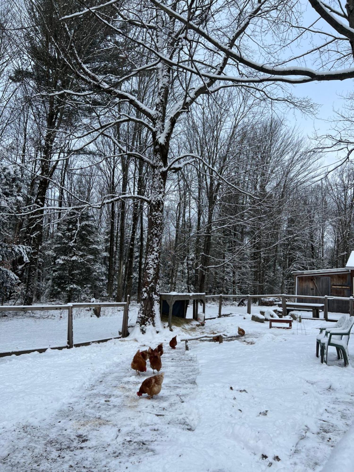 Capsule De Bonheur Guest House Bromont Exterior photo